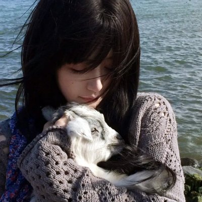 野马梅莎